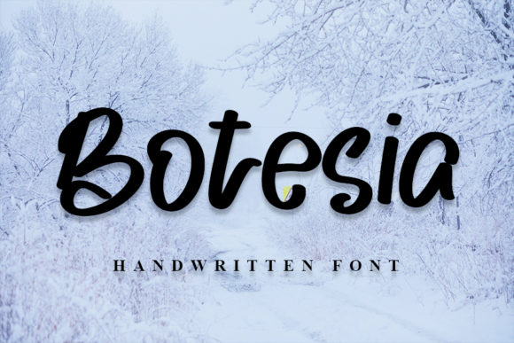 Botesia: A Handwritten Font for Creative Web Design