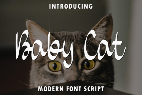 Enhance Your Brand with Baby Cat: A Stylish Script Font