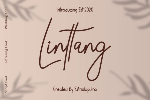 Enhance Your Brand with Linttang: A Stylish Script Font