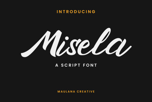 Enhance Your Web Design with Misela Font