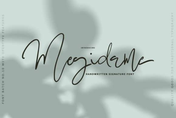 Transform Your Brand with Megidame: A Premium Handwritten Font